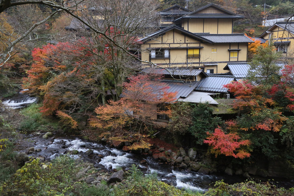 季節の写真館｜黒川温泉観光旅館協同組合