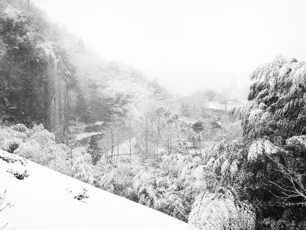 冬の温泉街 黒川温泉公式サイト 熊本 阿蘇の温泉地