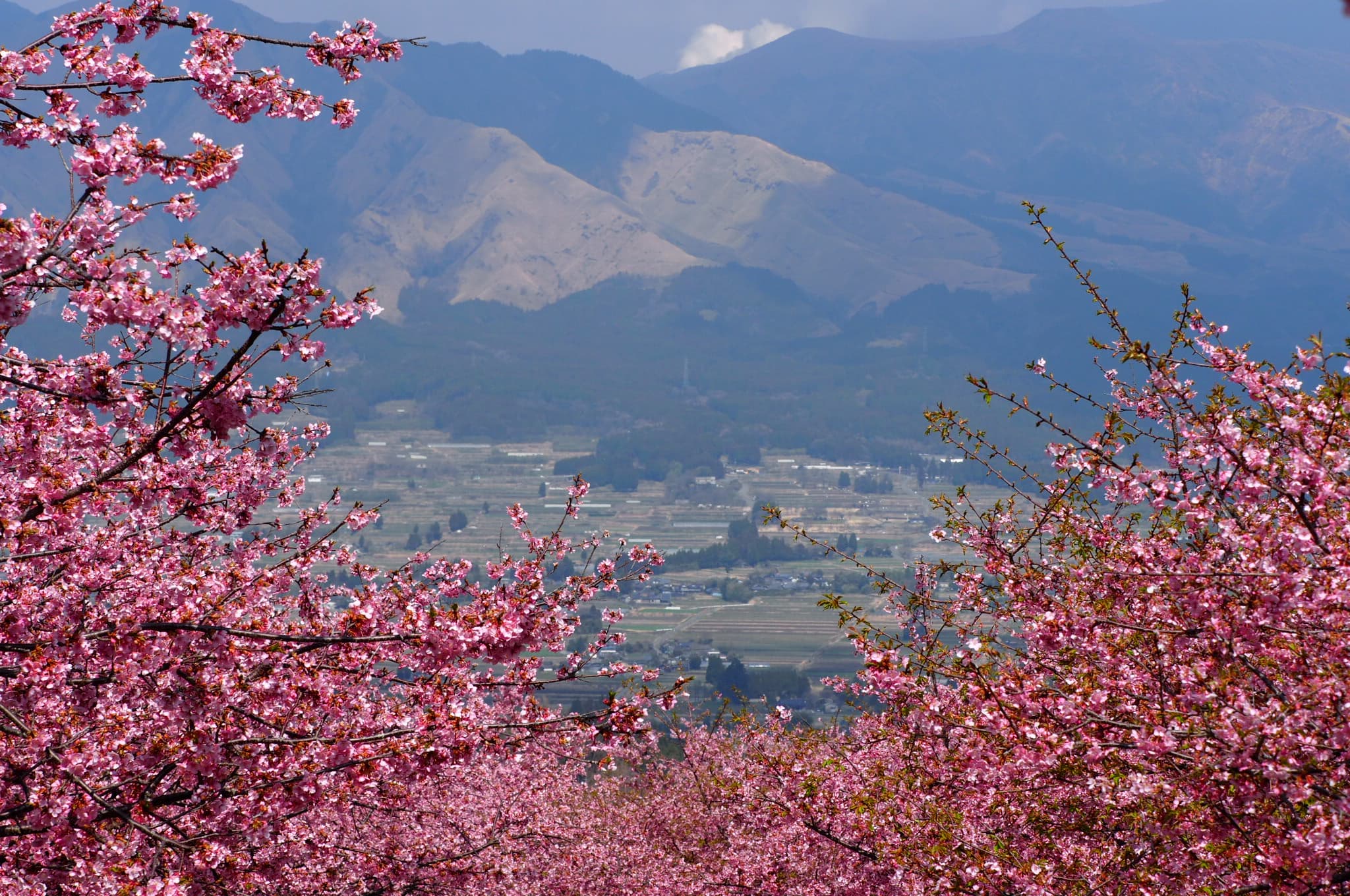 黒川温泉を五感で楽しむ｜黒川温泉公式サイト｜熊本・阿蘇の温泉地
