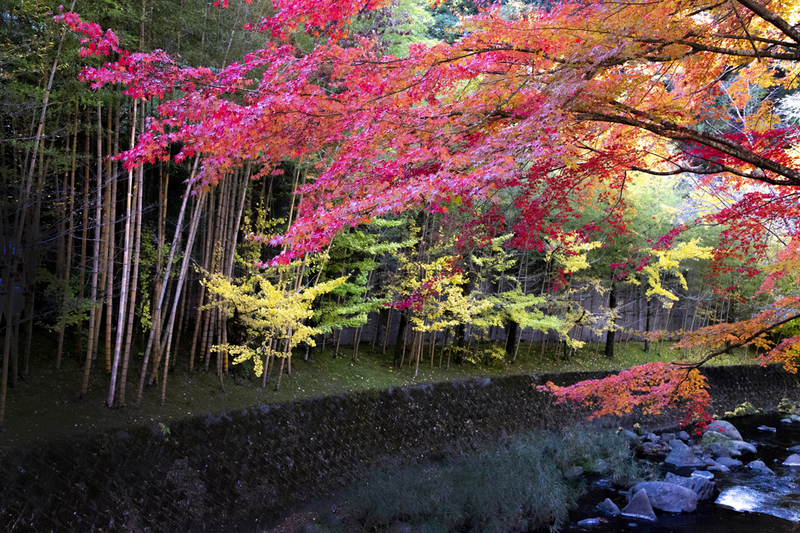 宿泊施設の画像